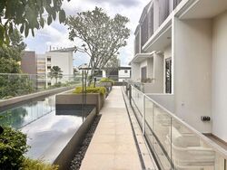Holland Grove Road (D10), Terrace #498444941